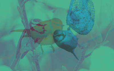 L&rsquo;autonomie de la chimie quantique